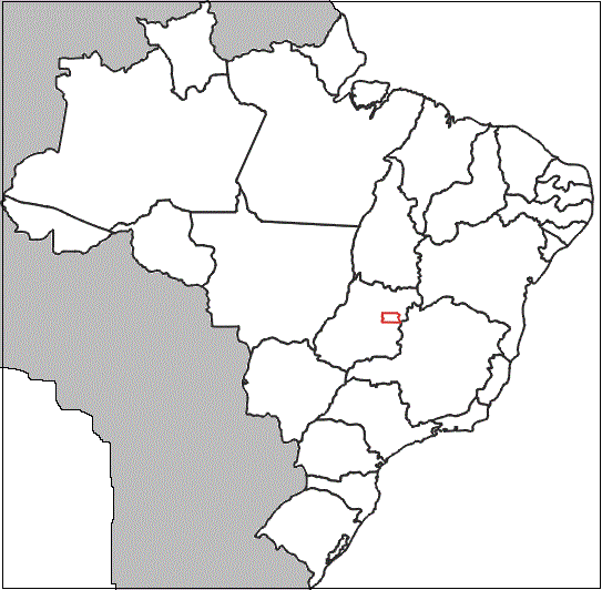 Brasil mudo